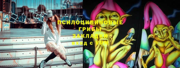 дживик Нягань